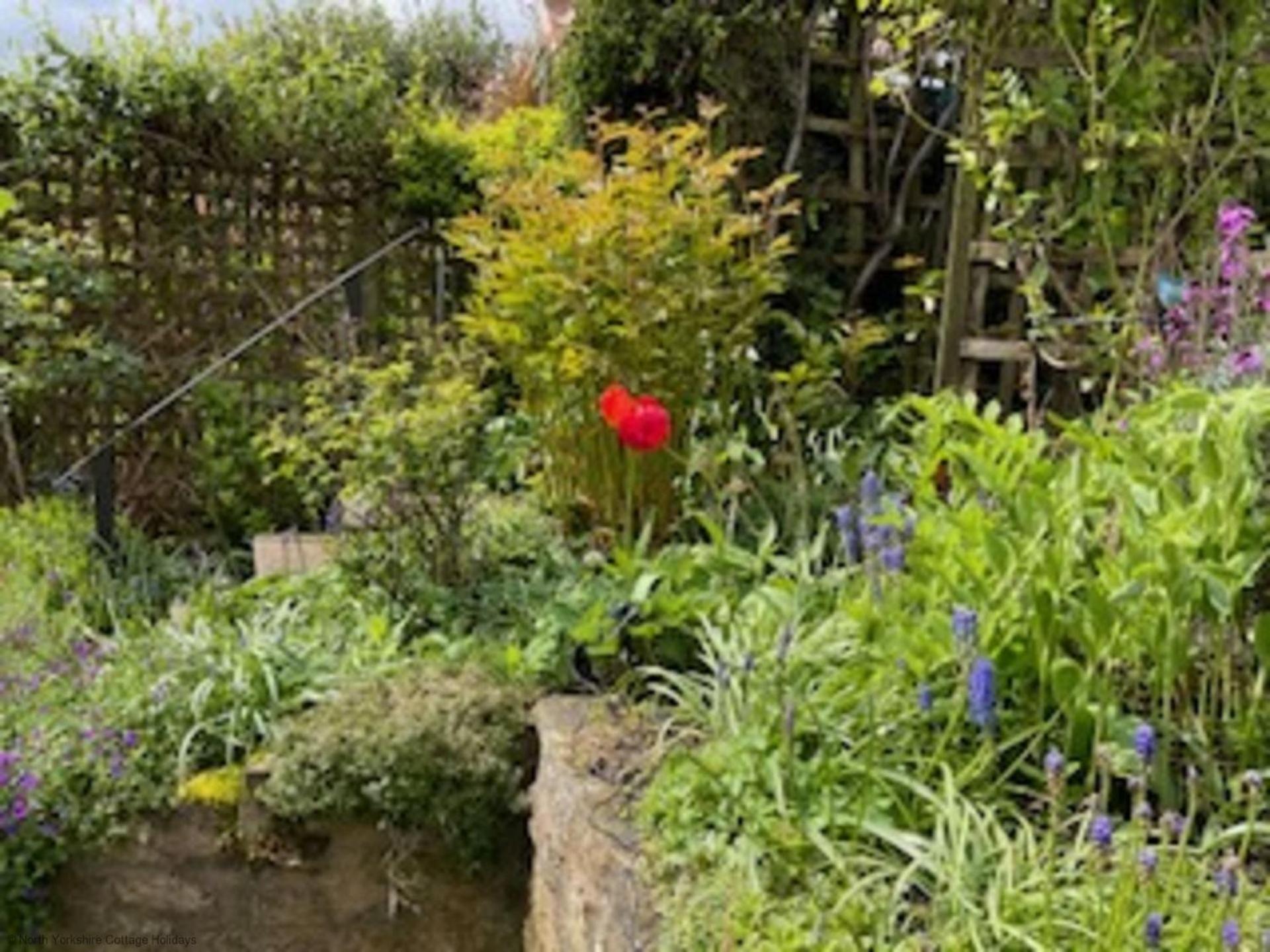 Picturesque Stone Cottage In The Heart Of North Yorkshire Village - Hideaway Cottage Exterior foto
